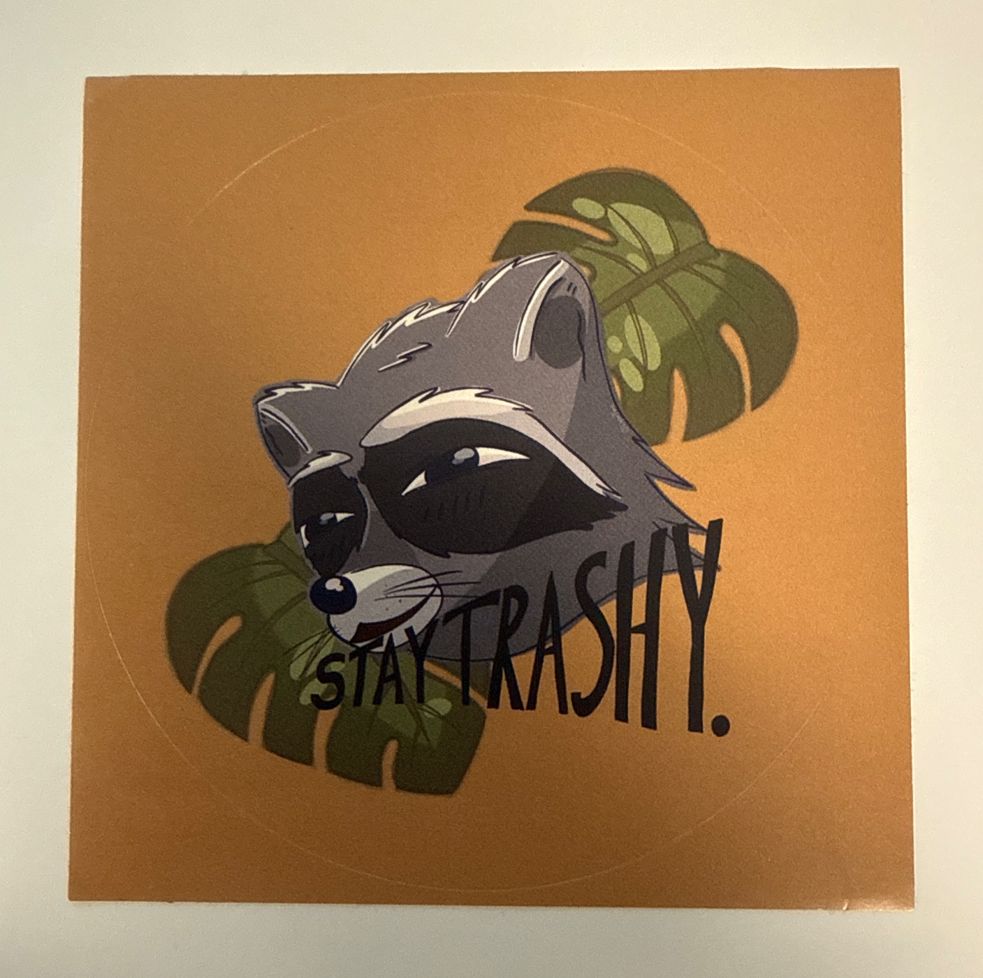 Stay Trashy.
