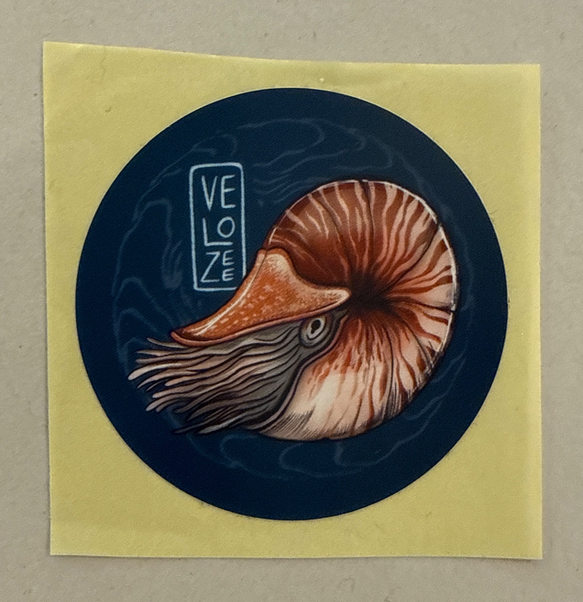 Velozee