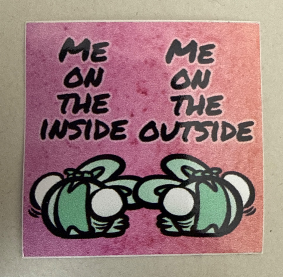 Me on the inside - Me on the outside