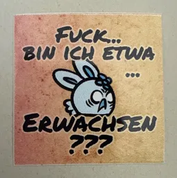 Fuck… bin ich etwa… ERWACHSEN???